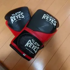 Item thumbnail for item 9f4c3c0a-6300-4a35-959e-7e68b8204e24