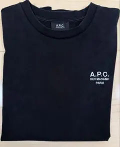 Mercedes Anchor inc.PIGMENT L/S TEE 26SS - メルカリ