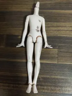 퓨어 니모 리플렉션 xs 화이트 스킨드 보이