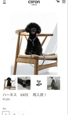 Item thumbnail for item 6e82814c-0b63-4bd0-989c-487b098c5385