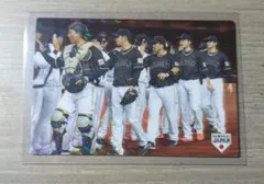 侍ジャパン プロ野球チップス カード チェックリスト