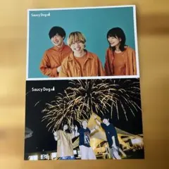 SaucyDog ポストカード セット販売