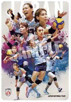 女子バレー日本代表 ツインウエハース 2026 カード