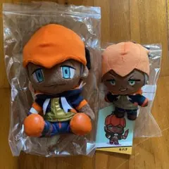 ポケモン キバナ ぬいぐるみ セット
