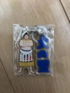 2025年最新】大の里グッズの人気アイテム - メルカリ