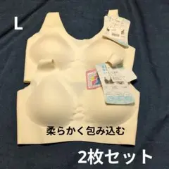 値下げ♡エアドリームプラス　まるで無感覚　ノンストレスブラ　L 2枚セットのサムネイル