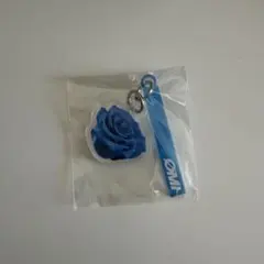 三代目 今市隆二 15周年POPUP カスタムキーリング - メルカリ