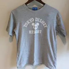 ディズニー Tシャツ Sサイズ グレー綿100%