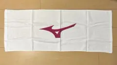 ミズノ　スポーツタオル　２枚セット