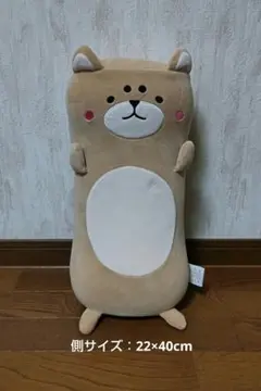 Item thumbnail for item 10801875-2a99-41fd-a82d-f3d05e6b4a98