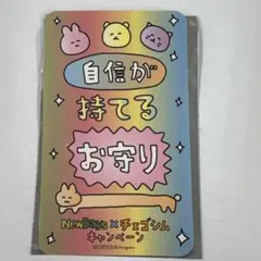 チェゴシム NewDays キャンペーン お守りステッカー 自信が持てるお守り