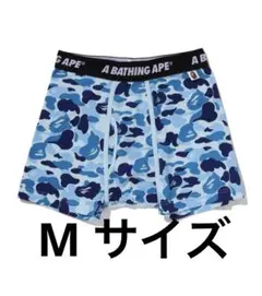 Item thumbnail for item c4b5a40b-0f5f-4e62-9bdd-32663e3712d1