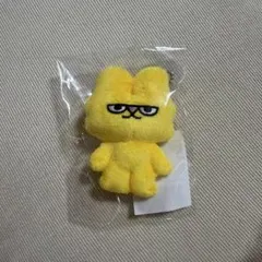 吉田仁人 シャカリキレボリューション ぬいぐるみ 概念　グッズ　トレカ　生写真