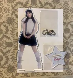 いぎなり東北産 伊達花彩 いぎなりカフェ-TOHOKU9-アクスタ