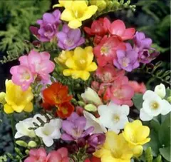 ヤマトのママ様 リクエスト 3点 まとめ商品