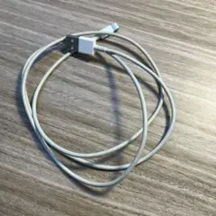 Apple Lightningケーブル USB-A ホワイト