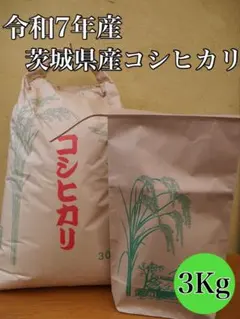 令和7年夏収穫分コシヒカリ玄米3kg三重県から発送生産者直送お米腸活