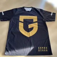 Item thumbnail for item fe9ee602-4e8a-4fc4-8670-ca99acff246c