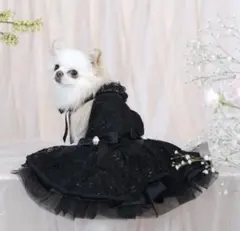 Item thumbnail for item 6e546d19-be21-4647-b397-ea3ced22fbc3