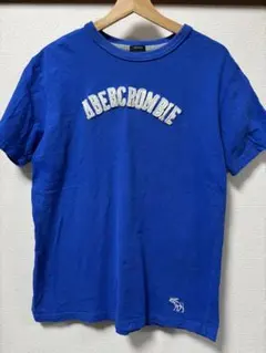 ⭐︎Abercrombie & Fitch アバクロ　Tシャツ Lサイズ⭐︎