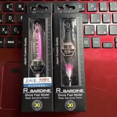 Zeake　ジーク　Rサーディン30g 上州屋限定色 　2個セット②のサムネイル