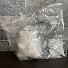 リアルキャットスクイーズ リアル ねこ 袋の上から触るスクイーズ 白 グレー ②のサムネイル