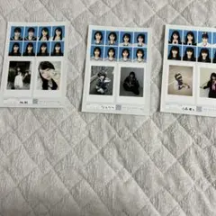seju 証明写真