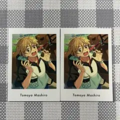 あんスタ ぱしゃっつ vol.6 Private 真白友也