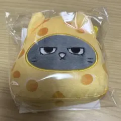 BOYNEXTDOOR プネクド トムジェリ キーリング テサン ハンテップン