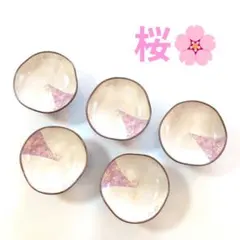 桜のデザートセット 5個 浅型皿