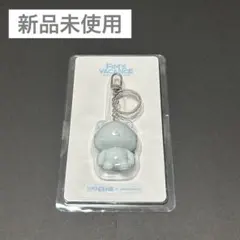 公式商品 ぬいぐるみ キーリング ルセラフィム キムアチ チェウォン LE SSERAFIM ルセラフィム 韓国 チェウォン ぬいぐるみ キーリング