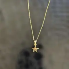 星形の金色ペンダントネックレス 316L