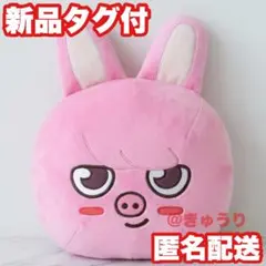 HANQUOKKA】SKZOO ドーム型 BIG ぬいぐるみ【GIGO限定】 - メルカリ