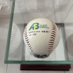 記念サインボール