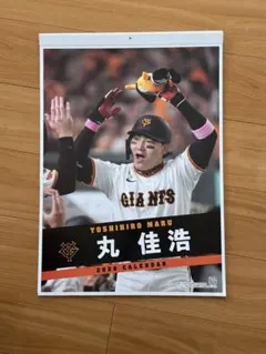 Item thumbnail for item ae293616-acfb-4e29-a125-88a93f4e3d68