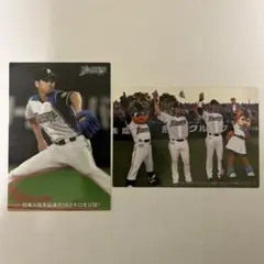 2026年最新】野球チップス 大谷の人気アイテム - メルカリ