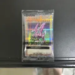 ホーリーナイトドラゴン