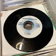 Maxi Priest Wide World