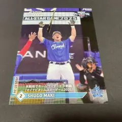 Item thumbnail for item 8aea4069-80f8-4ba3-9f4e-97e3abe3a422