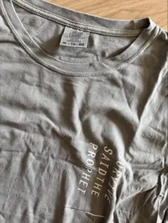 Survive Said The Prophet Tシャツ グレー XL