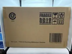東宝30cmシリーズ　バーニングミレニアムゴジラのサムネイル