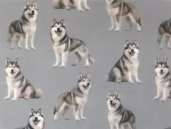 【ゆきちゃん限定】X2610-1 アラスカン・マラミュート柄 グレー 生地 1m
