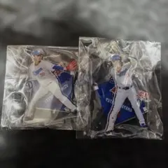 中日ドラゴンズ山本泰寛選手アクリルスタンド - メルカリ