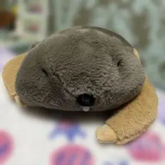 Item thumbnail for item 299419e2-aaf7-4fff-b927-541c943c96f2