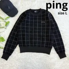 【ピン】極美品 ニットセーター ブラック チェック Lサイズ レディース