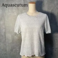 Aquascutum バイカラー ラメニット 前身頃レース 日本製