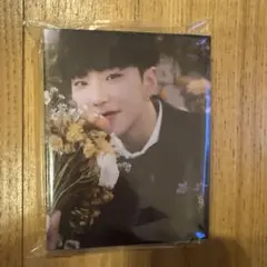 SEVENTEEN HOSHI トレカFML