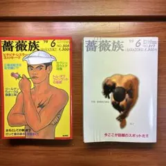 男性雑誌　薔薇族2冊セット　LGBT 第二書房　ゲイ雑誌