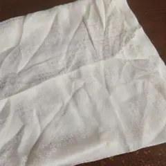 Item thumbnail for item 81849e57-9821-400a-aabe-bf46e0cfc3b7