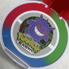 ポケモン ピンバッジ リザードン ピンバッジ ピンズ ポケパーク No
